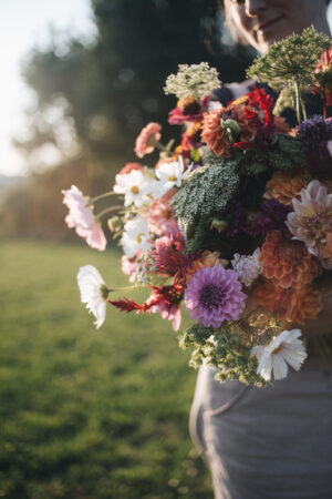 Blumen Abo